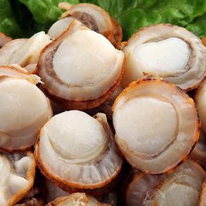 Hotate Scallop Without Roe 熟带子(没有蛋)