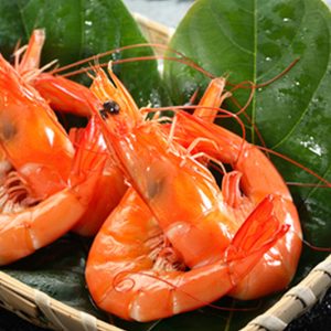 Cooked Vannamei 熟南美白虾